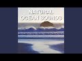 Laid Back Sandy Ocean Waves