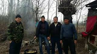 картинка: Куршаб 86
