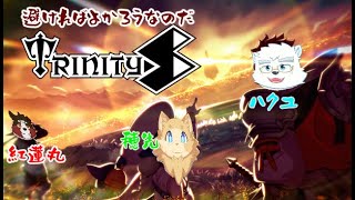 【突発】なんか既視感のあるAoEを避ける【TrintyS】