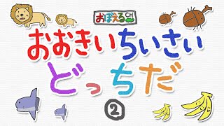ちっちざる様　ありがとうございます！ 510yIBKoy-L.jpg