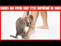 15 Signes Que Votre Chat Vous Considère Comme Sa Maman 15 Signes Que Votre Chat Vous Considère Comme Sa Maman