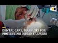 Indian farmers prepare for extended protests by getting dental checks and foot massages