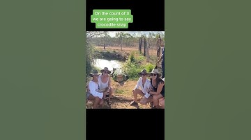 crocodile attacks woman🐊🐊#short#attacks