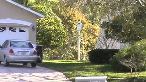 Video #1 Is that a Brand New Bird House Facing My House?