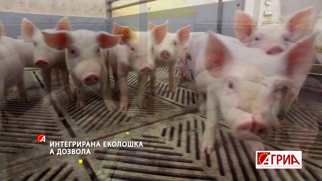 AGRIA коrporativno video- kratka verzija/ АГРИА корпоративно видео - кратка верзија