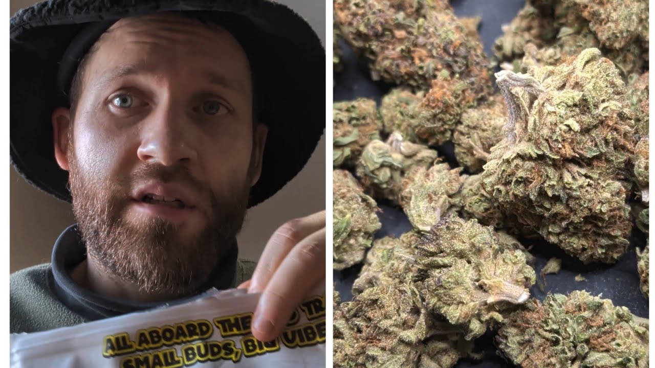 "RS11" Thca Small Buds cheap bulk Hemp 