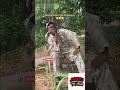 Wait… Did Mosquito Miss Adam’s Meeting? 😳🦟#viral,#skit,@jendorcomedies