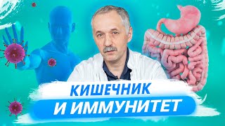 Как иммунитет связан с кишечником? Перспективы лечения аллергий, инсультов и рака / Доктор Виктор