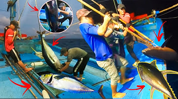 1 Đêm HỐT BẠC Và Màn Khấu Cá GÙ Đỉnh Nhất _CÂU CÁ BIỂN TRƯỜNG SA 7_7 Hồng Vlog