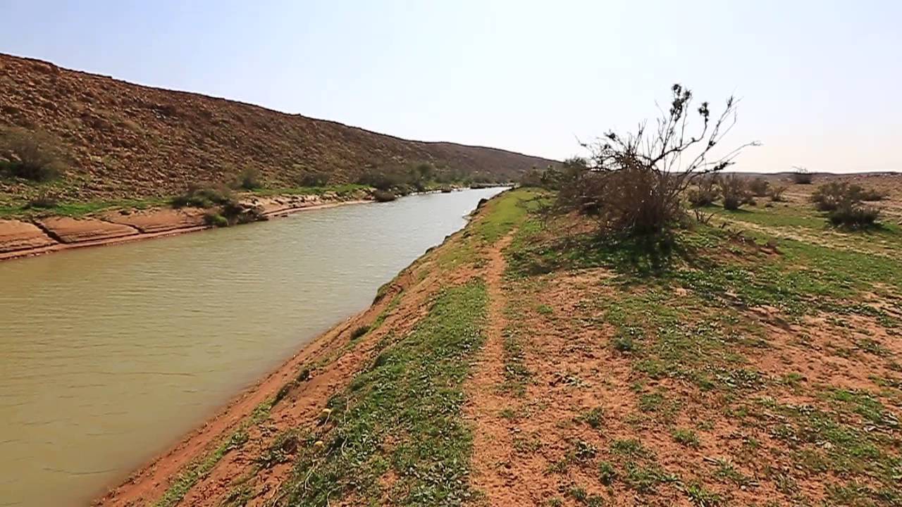 غدير من غدران وادي المسعودي شمال شرق الرياض 11-3-1435هـ