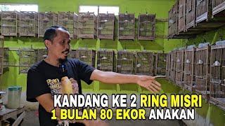 PART 2 ‼️ PANENAN DI KANDANG KE 2 INI LEBIH BANYAK MENGHASILAKAN PAUDTAN..