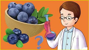 Do blueberries make you skinny?