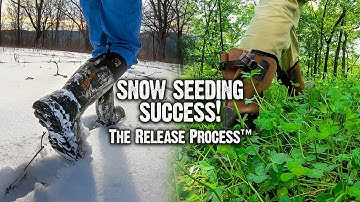 A Great Clover Food Plot - The Easy Way! (635)