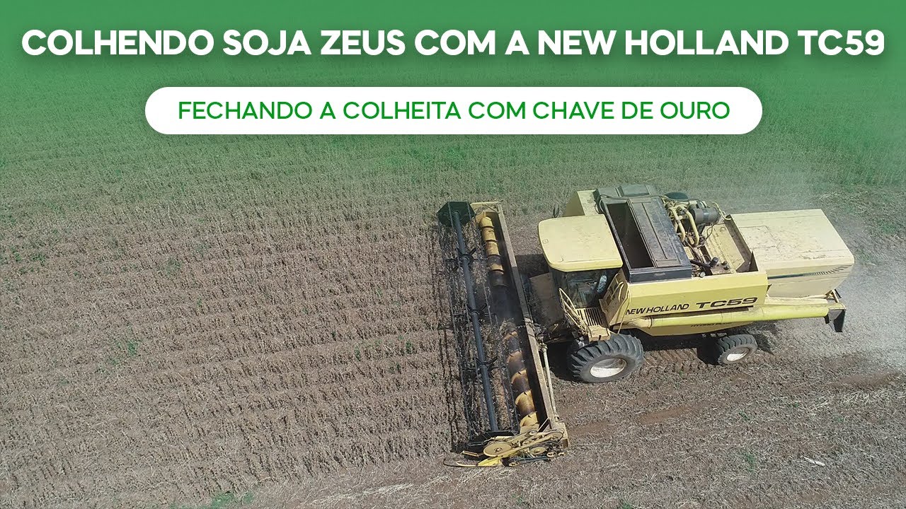 Colhendo Soja Zeus com a New Holland TC59. Fechando a colheita com Chave de Ouro (v.185)