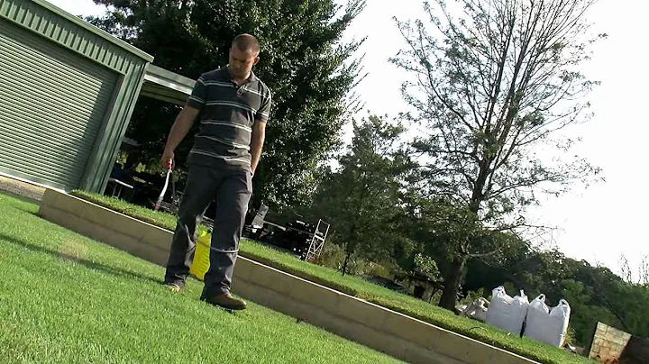 Lawn Grub And Disease Control | Diagnosis And Treatment...