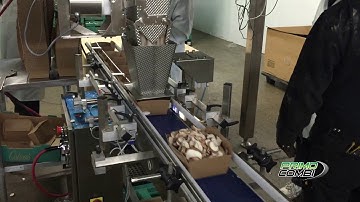 PrimoCombi multihead weigh filling machine for dispensing sliced mushrooms into cartons
