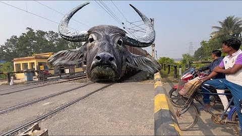 DANGEROUS BUFFALO HEADED  Teesta Torsa Express Furiously Crossing at Balagarh ralgete 