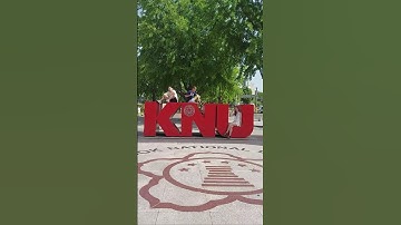 2021 Spring Video Contest 2nd place "MIKADO"