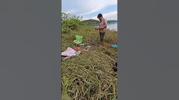 Gặp Rô phi khủng bẻ cần