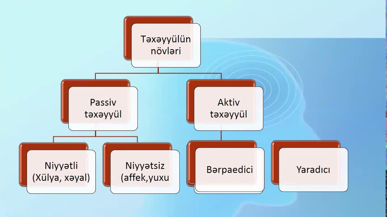 Əzizova Vəsilə Ümumi Psixologiya Təxəyyülün psixoloji xarakteristikası1