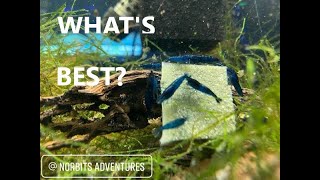 What Substrate is the best for Shrimp Tanks.? (What Do you think?) by Norbitts Adventures 169 views 3 years ago 8 minutes, 37 seconds