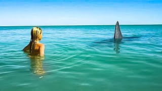 Köpekbalıklarından Korkuyorsanız Bu Videoyu İzlemeyin…