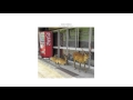 Video thumbnail for Mika Vainio & Franck Vigroux | Souffles [Cosmo Rhythmatic 2015]