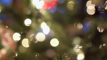 Beachfront B Roll Christmas Tree Bokeh Free to Use HD Stock Video Footage