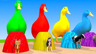 Baby duck cartoon vs dogs vs cats vs elephants and cows