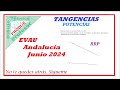 Tangencias Potencias RRP EVAU ANDALUCÍA JUNIO 2024  9.-CIRCUNF. TGTES. A DOS RECTAS Y PASEN POR PTO.