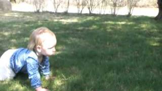 Abby crawling around on a nice spring day April 2009