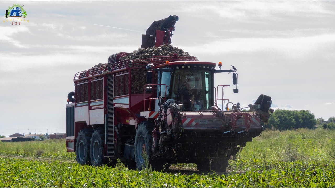 XXL Beet Harvest | Grimme Maxtron 620 , Holmer T4.40, Holmer Terra Felis 2 | Team Massignani