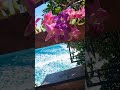Beautiful Sea 🌚 with the beautiful flowers 🌹