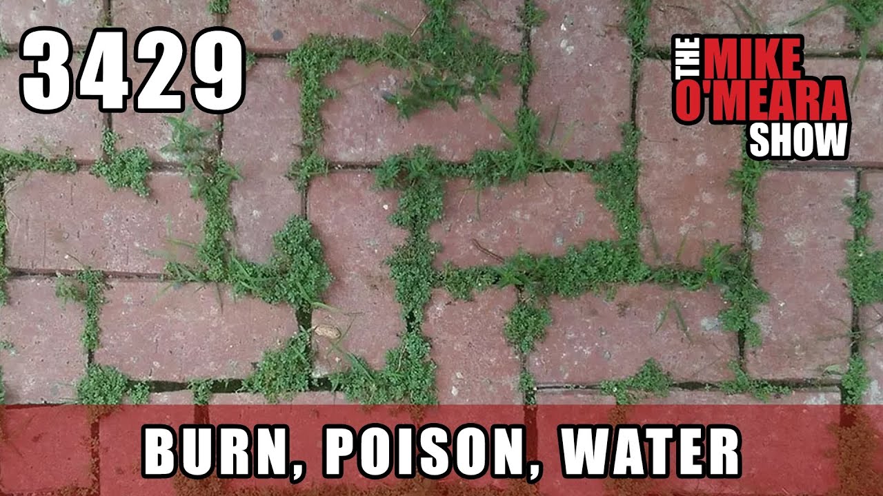 Ep 3429: Burn, Poison, Water