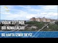 meşhur damat adayı gözaltında. - YouTube