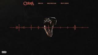 Waka Flocka Flame & Drake - Cobra Clap [Prod. JAYBeatz] #HVLM Resimi