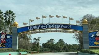 Disney part 2, I had a wonderful time with my son  There is nothing better than spending time with y