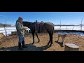 Pre flight check &amp; standing still to mount