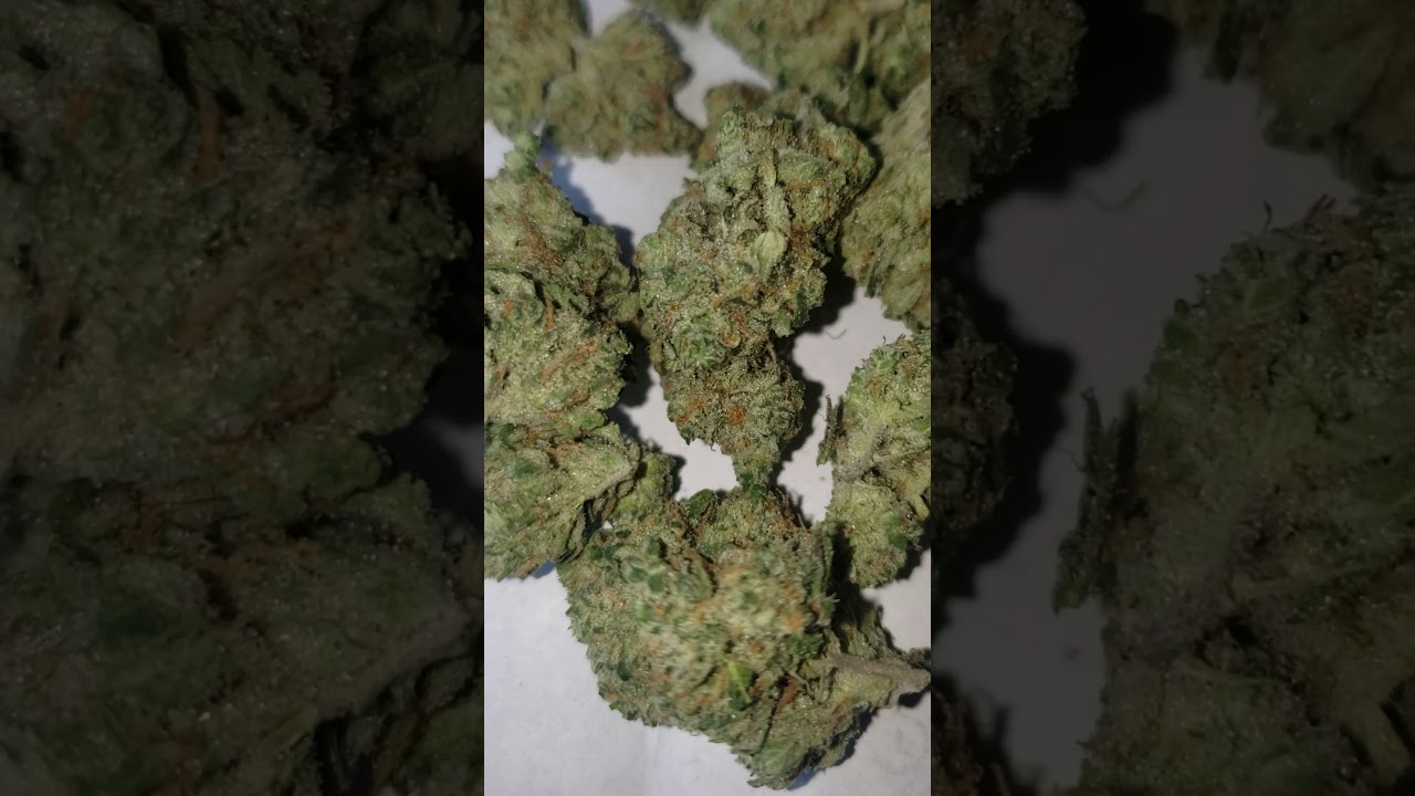 🌊💨Medical Marijuana Review #66 : Big Smooth : Farmaceutical RX ( OG Blueberry × Cookies & Cream)