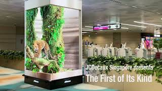 The First 3D Anamorphic Illusion Content in Changi Airport Terminal 2 | JCDecaux Singapore