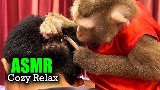 ASMR Monkey (No Talking) | Judy's ULTIMATE Scalp Grooming for Deep Calm Sleep screenshot 2