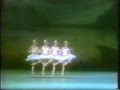 Swan Lake (Part 5)