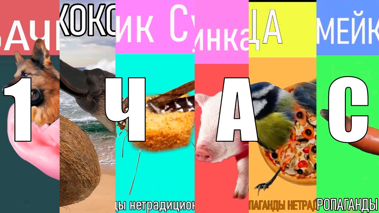 Включи жвачка сосиска