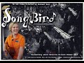 Michael Wall "Songbird" 360 VR video (English voice over)