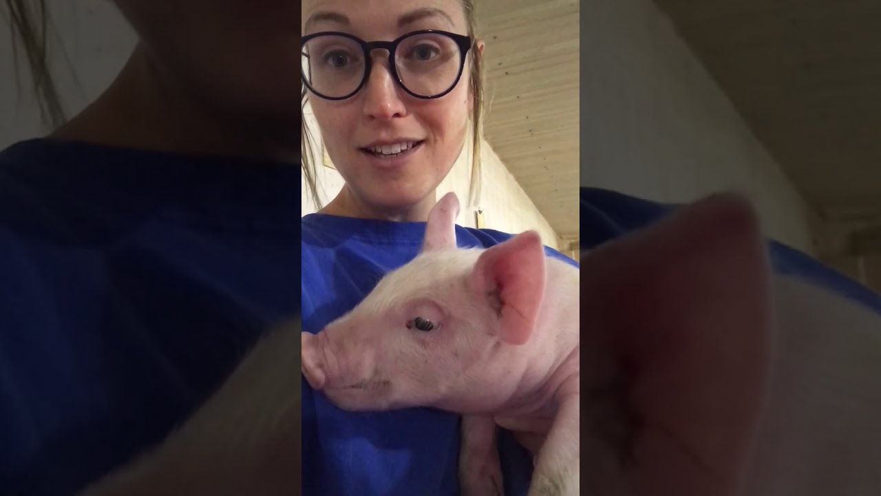 What is a Withdrawal Period?