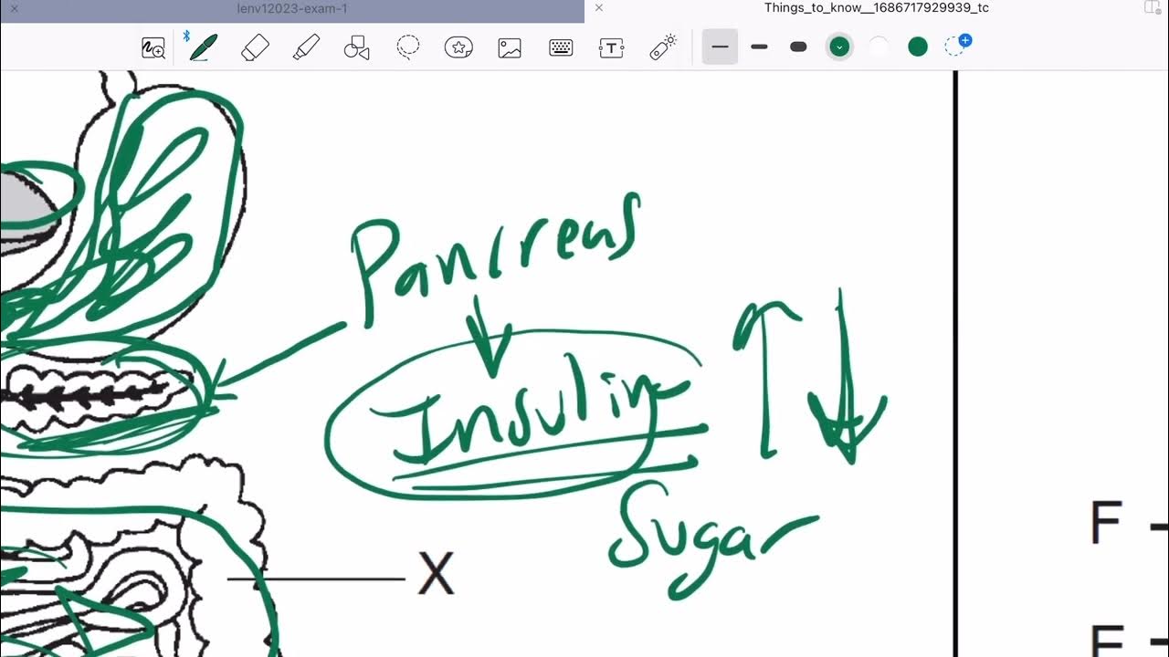 Living Environment Regents Review Right before June 14th, 2023! Must Watch! YouTube