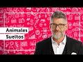 Animales Sueltos - Programa Completo (31/07/20)