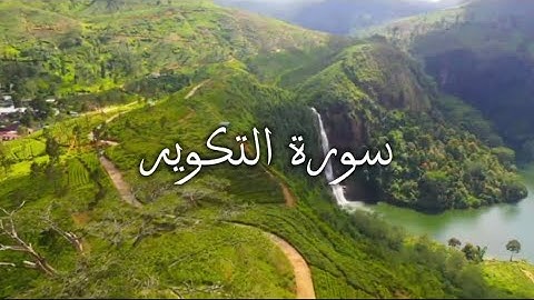 القران الكريم🔊 سورة التكوير 🌑 من❤️ افضل تلاوة للقران الكريم🤍 #القرآن🤍 #فلسطين #اكسبلور #ارح_قلبك