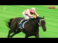 Black Caviar Lightning Race Day | Experience the thrill