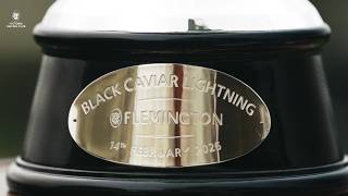 Black Caviar Lightning Race Day | Experience the thrill
